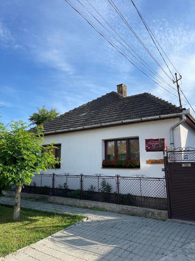 Gyongyver Panzio Sfantu Gheorghe  Exterior photo